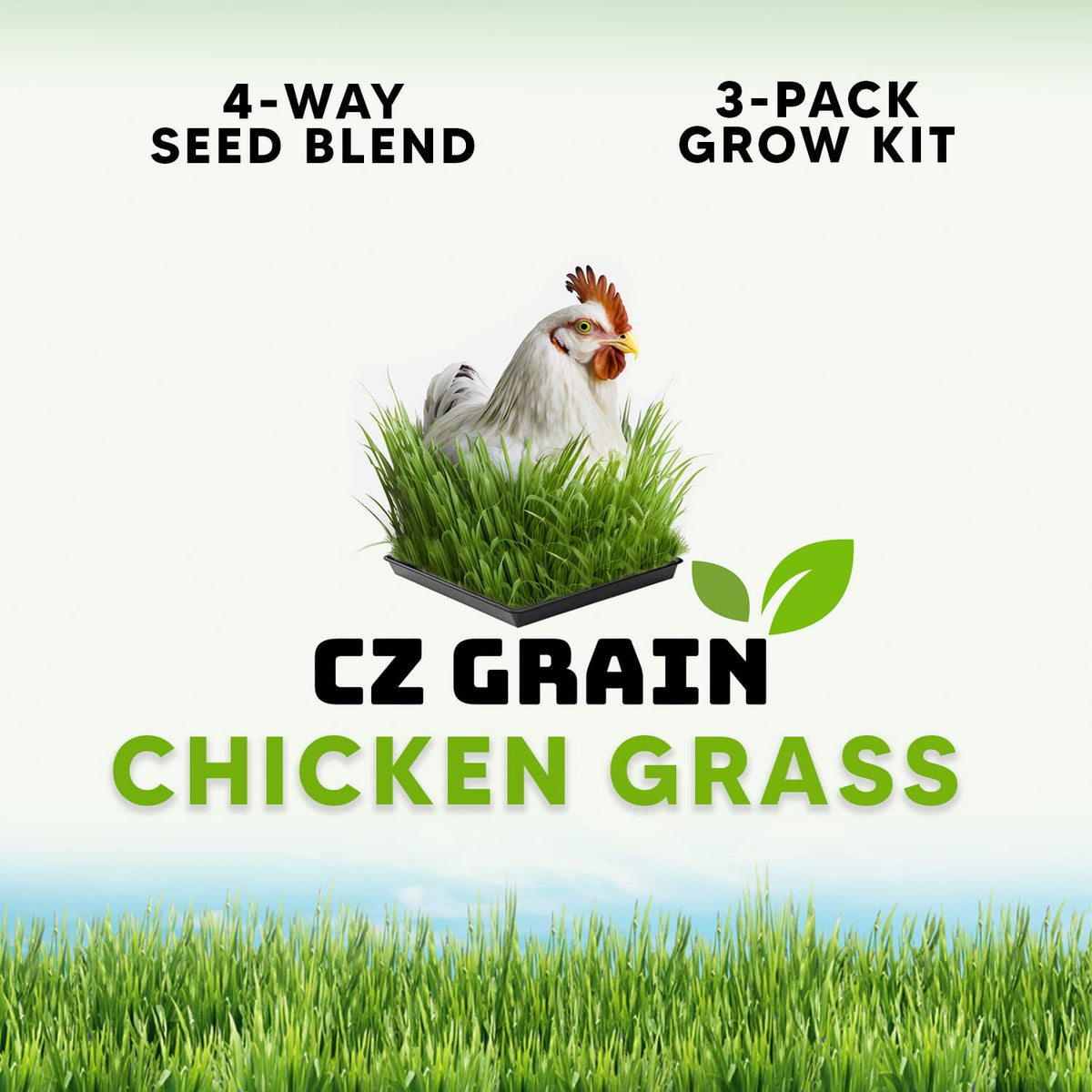 Chicken Grass Grow Kit 3 Pack Refill Kit W43858