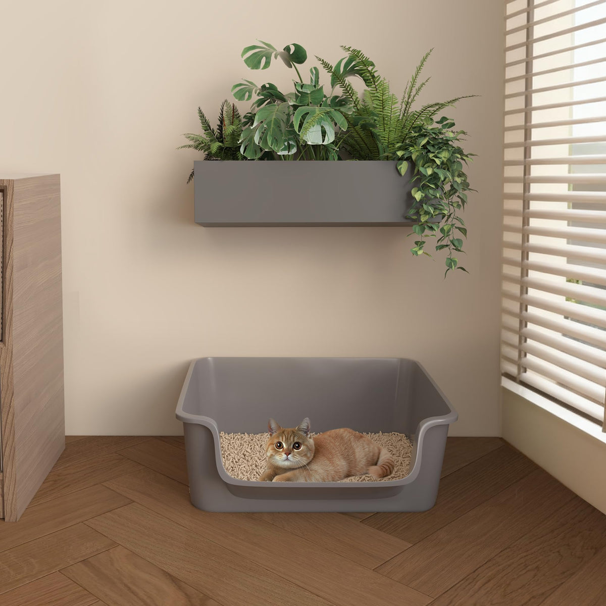 Open-Top High Sides Cat Litter Box with Low Entrance K19065