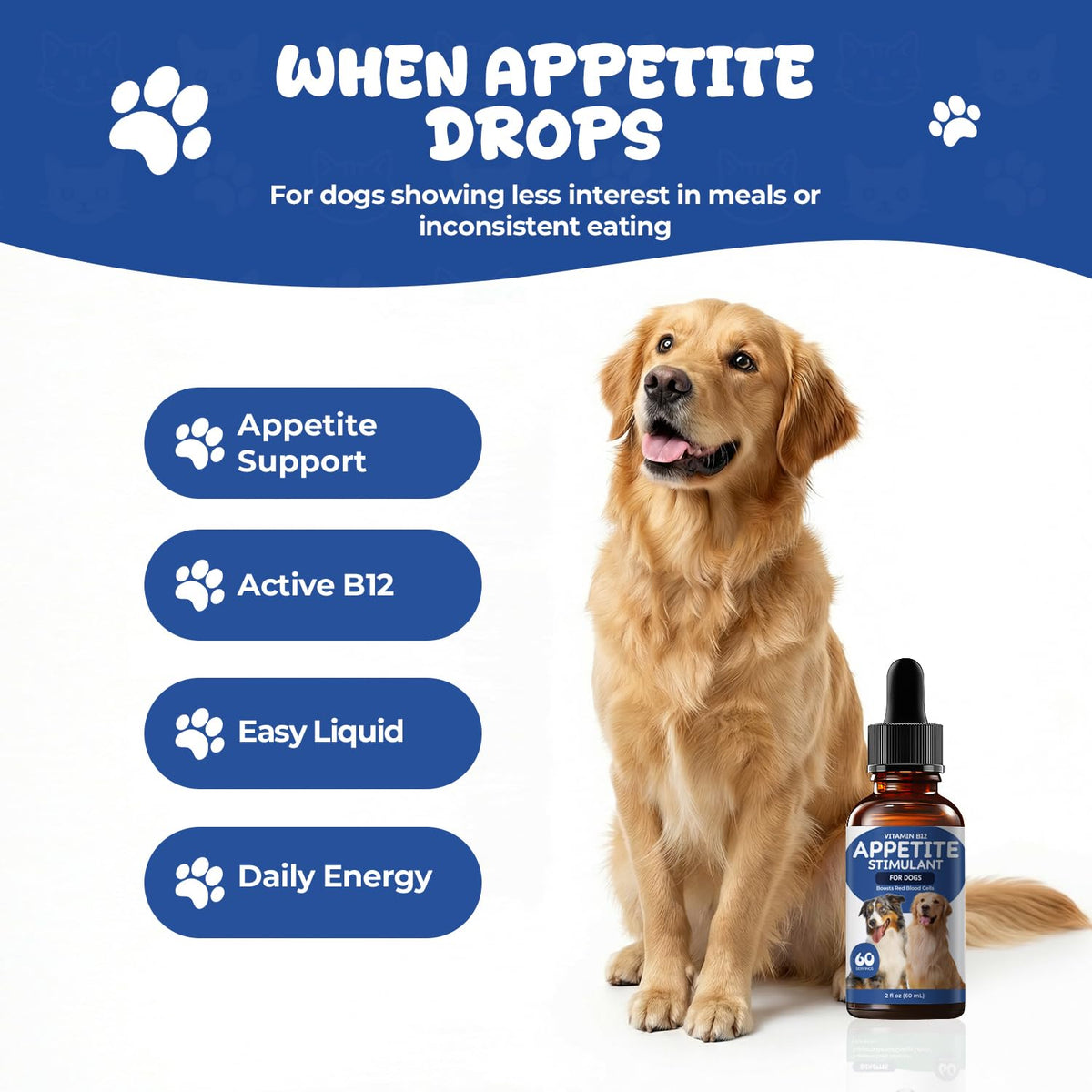 Vitamin B12 Liquid Drops with Methylcobalamin G210