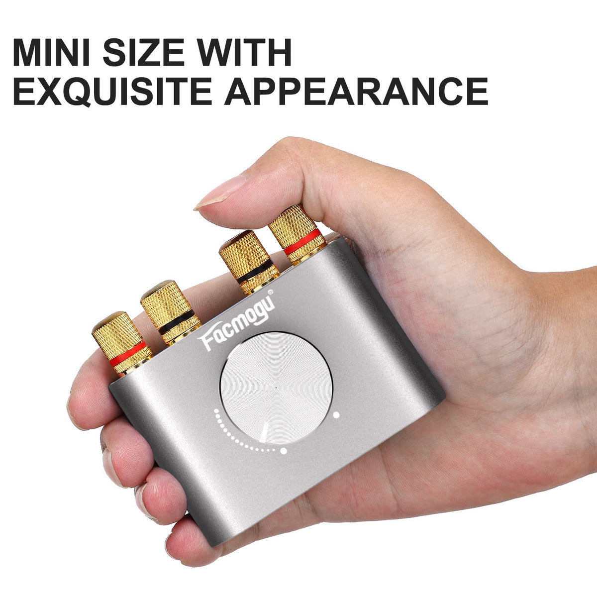 Bluetooth 5.0 Mini Power Amplifier G811894