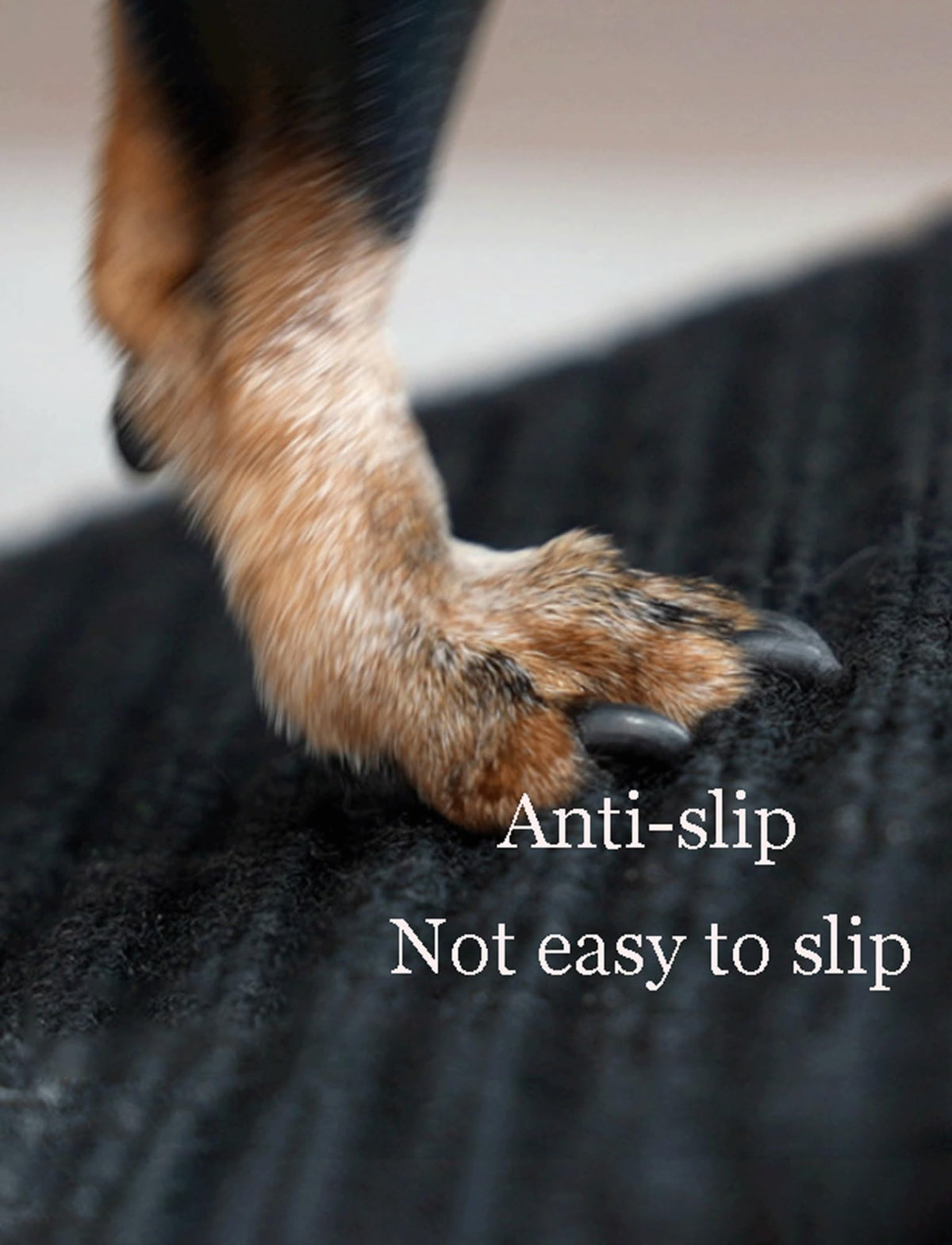 Non-Slip Lightweight Portable Pet Ramp X152935