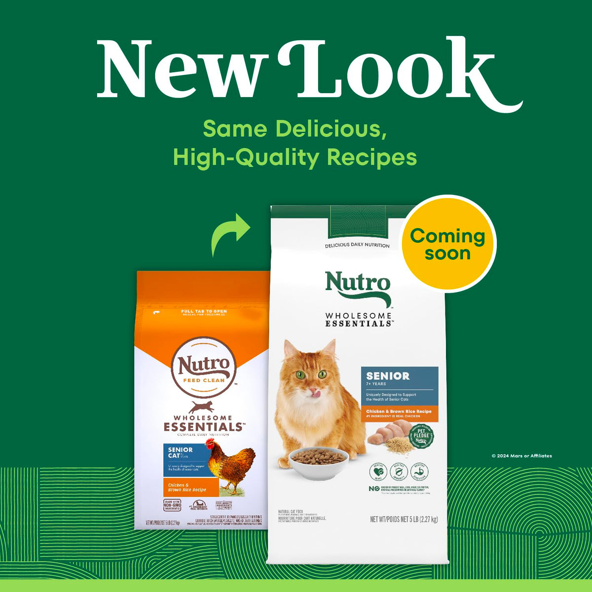 Senior Dry Cat Food Chicken & Rice 5 lb R79189