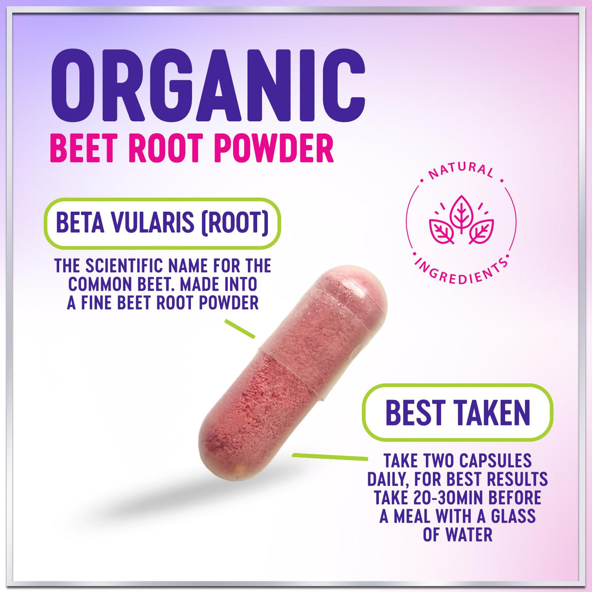 Organic Beet Root Capsules 1300mg 60 Capsules Y992