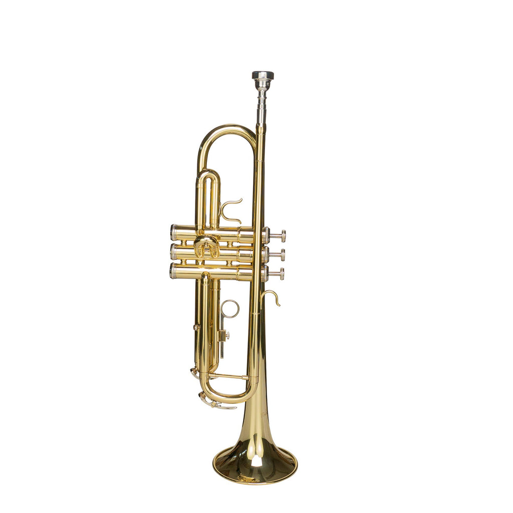 Bb Trumpet with Mouthpiece and Case D904867