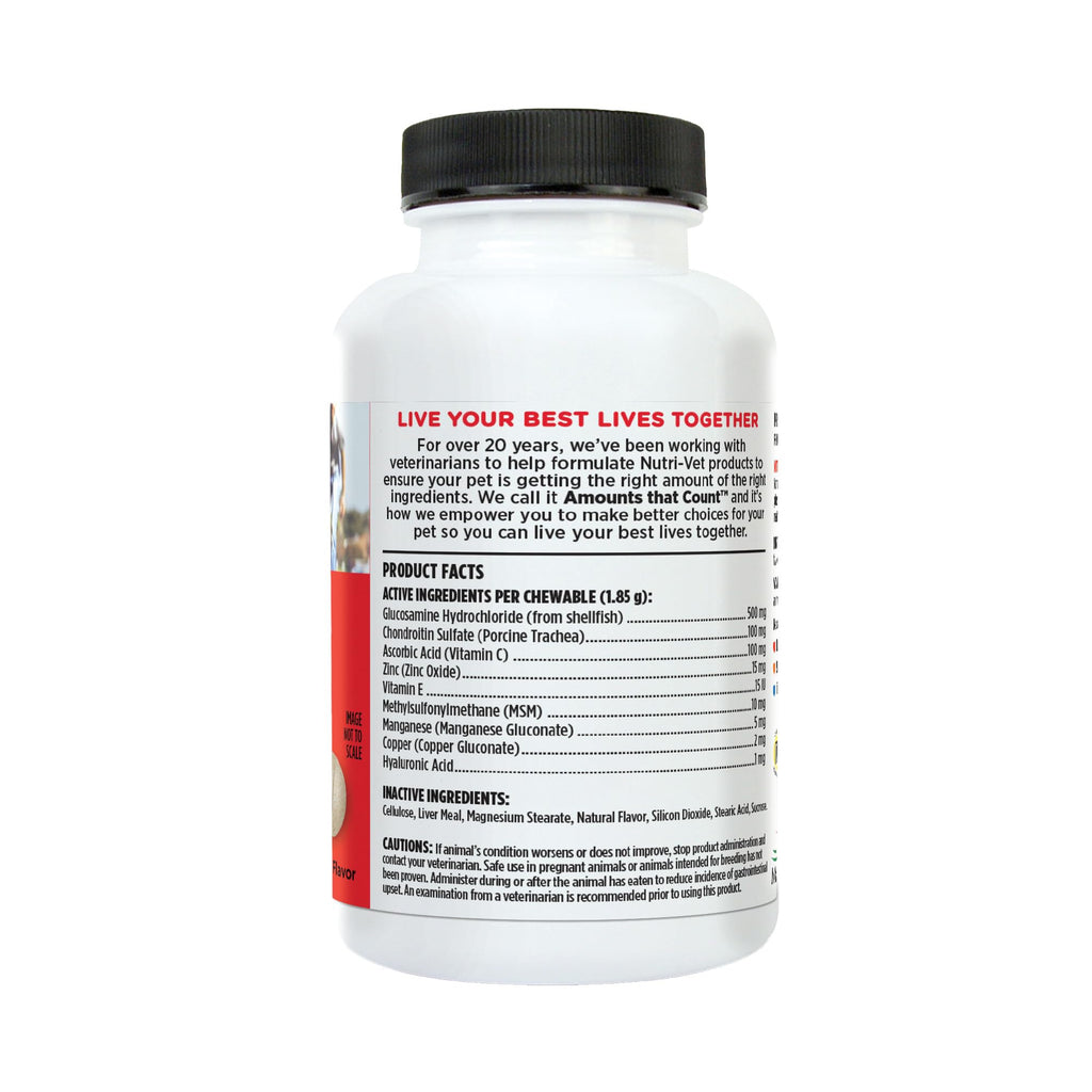 Dog Supplement, 500mg Glucosamine, 75 Count A809805