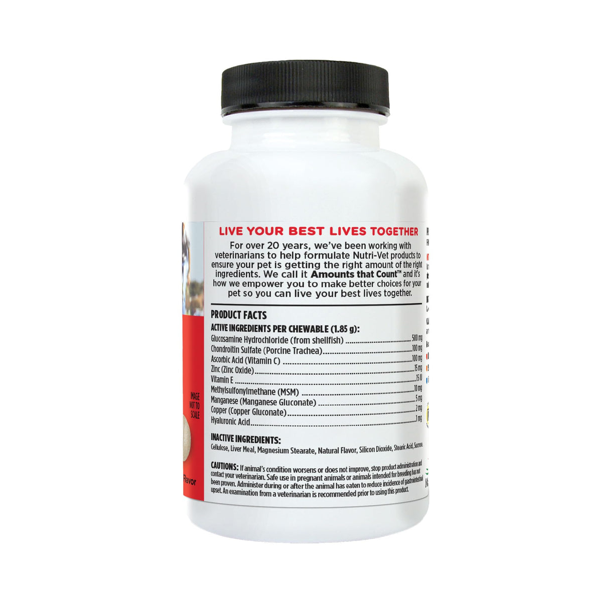 Dog Supplement, 500mg Glucosamine, 75 Count A809805