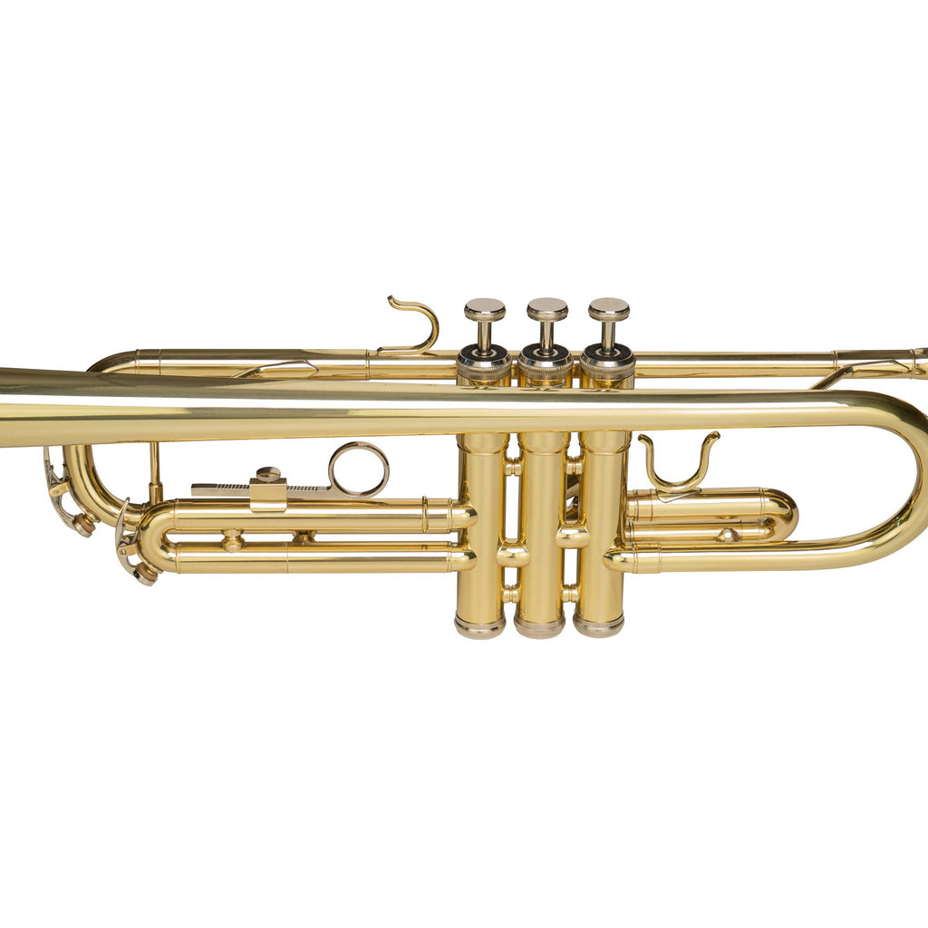 Bb Trumpet with Mouthpiece and Case D904867