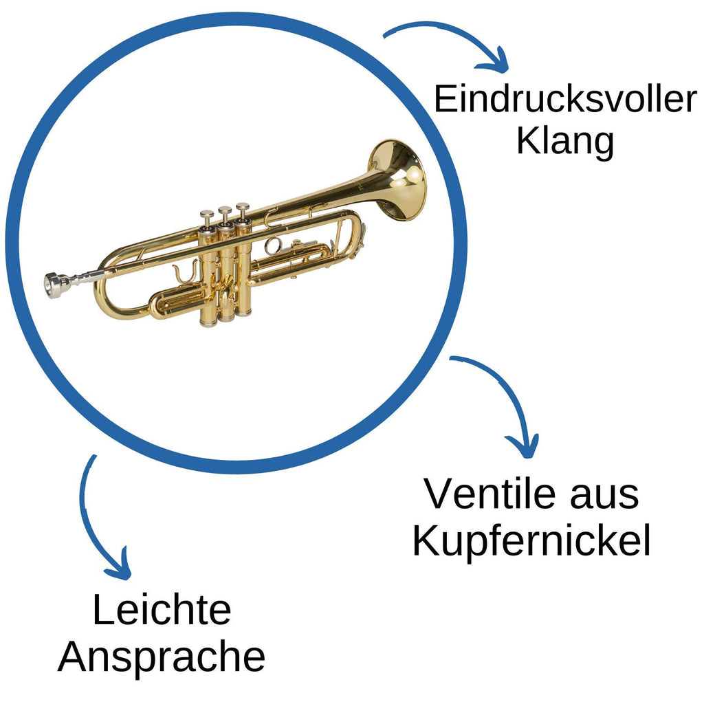 Bb Trumpet with Mouthpiece and Case D904867