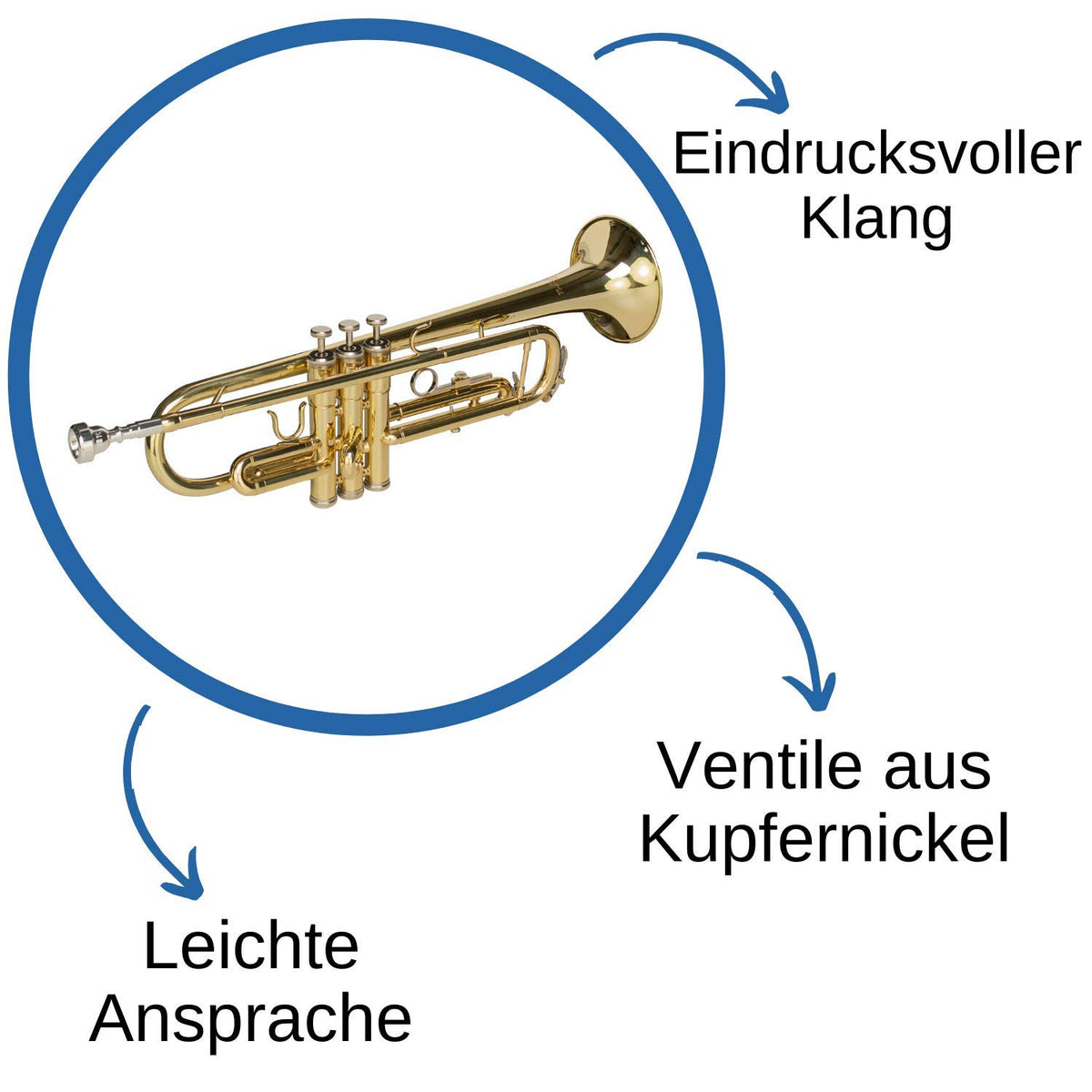Bb Trumpet with Mouthpiece and Case D904867