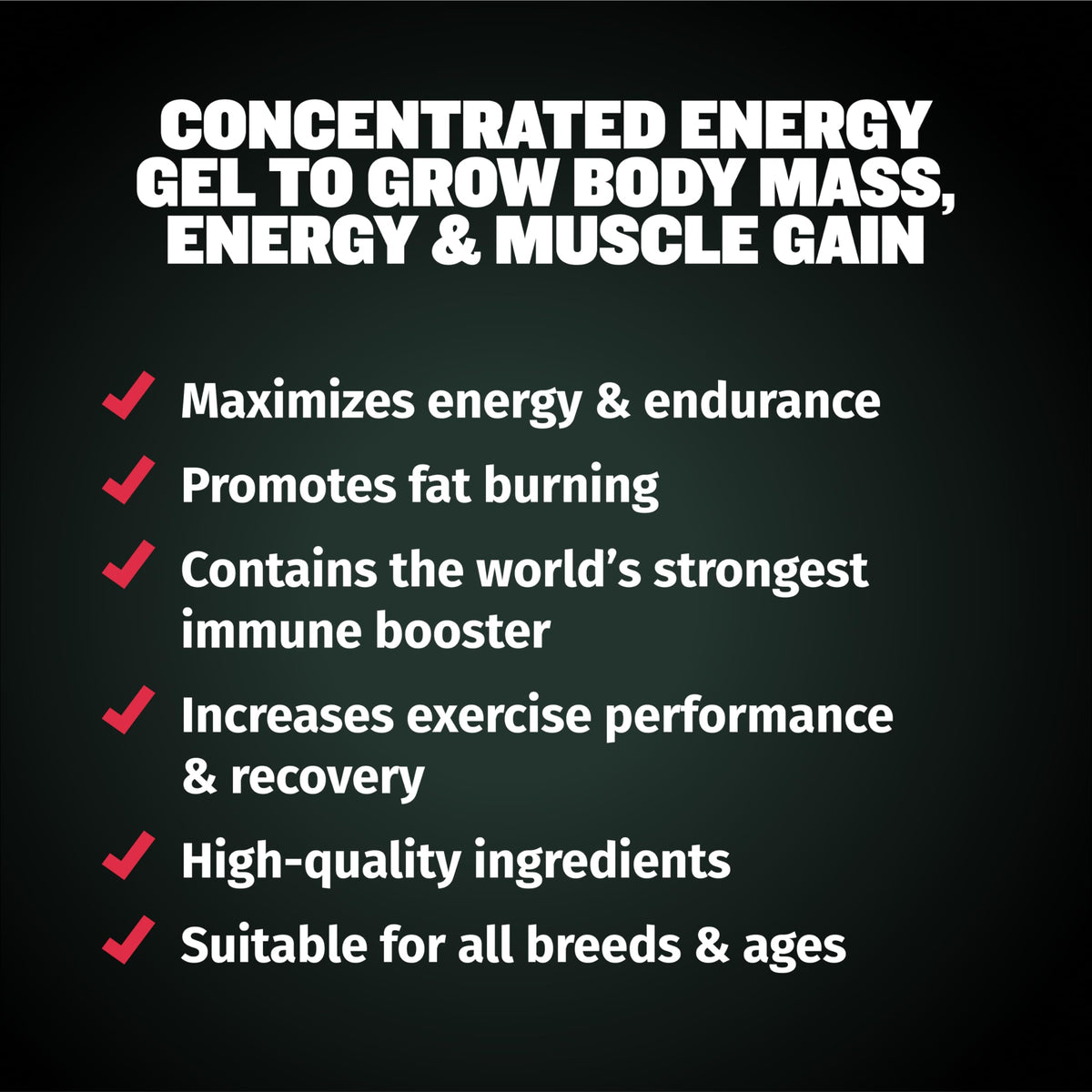 Liquid Dog Muscle Builder and Power Tabs Bundle L5974