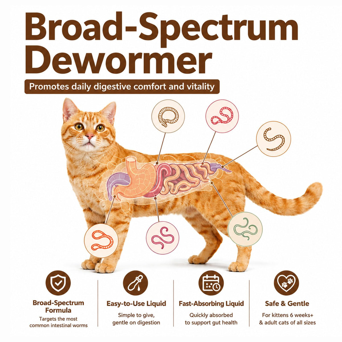 Cat Dewormer Liquid Broad Spectrum Treatment 120ml E899923