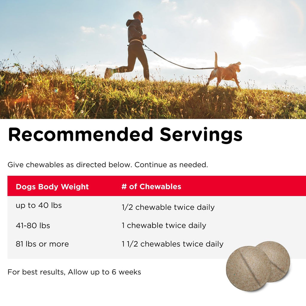 Dog Supplement, 500mg Glucosamine, 75 Count A809805