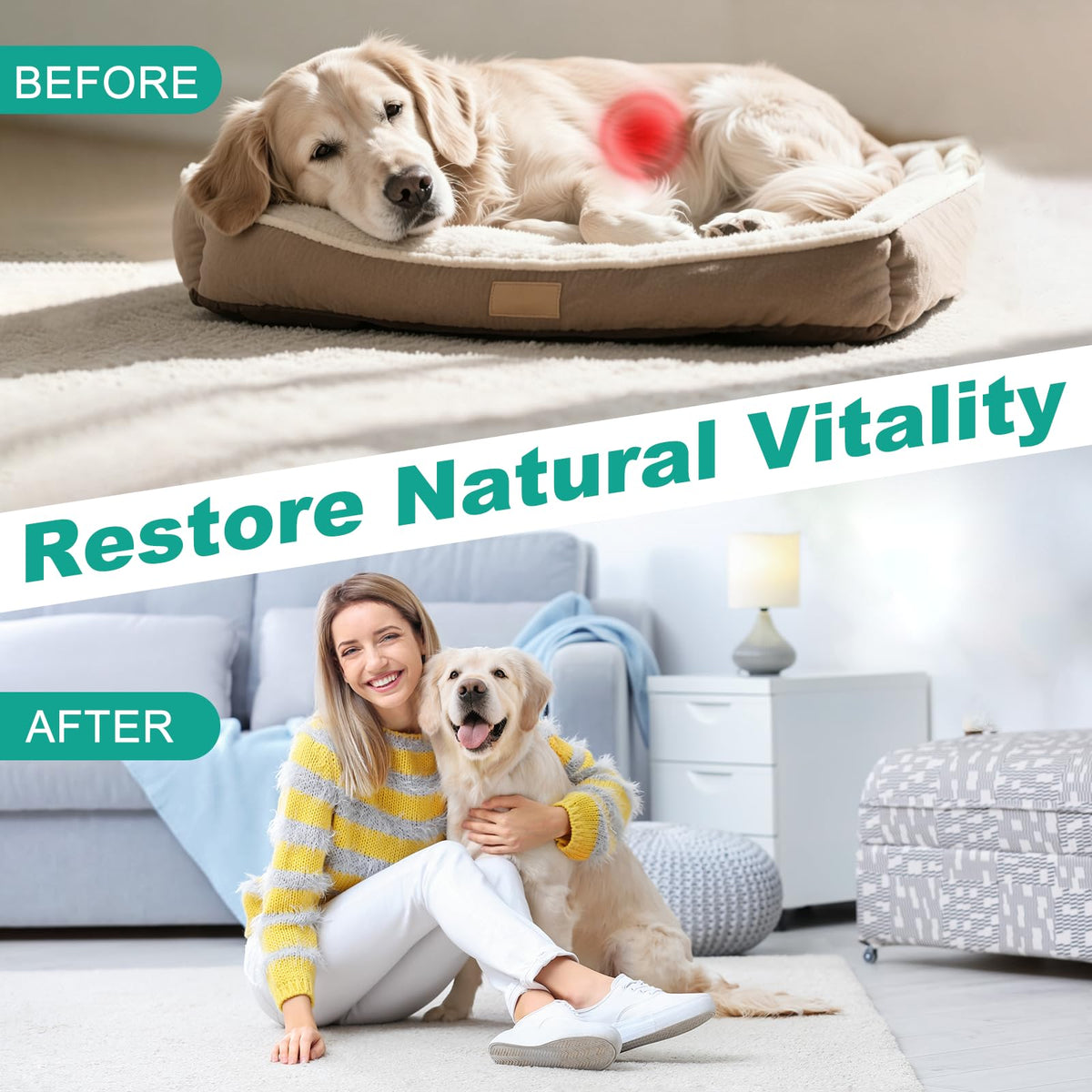 3-Way Dewormer for Dogs & Cats with Praziquantel & Pyrantel Pamoate W75852