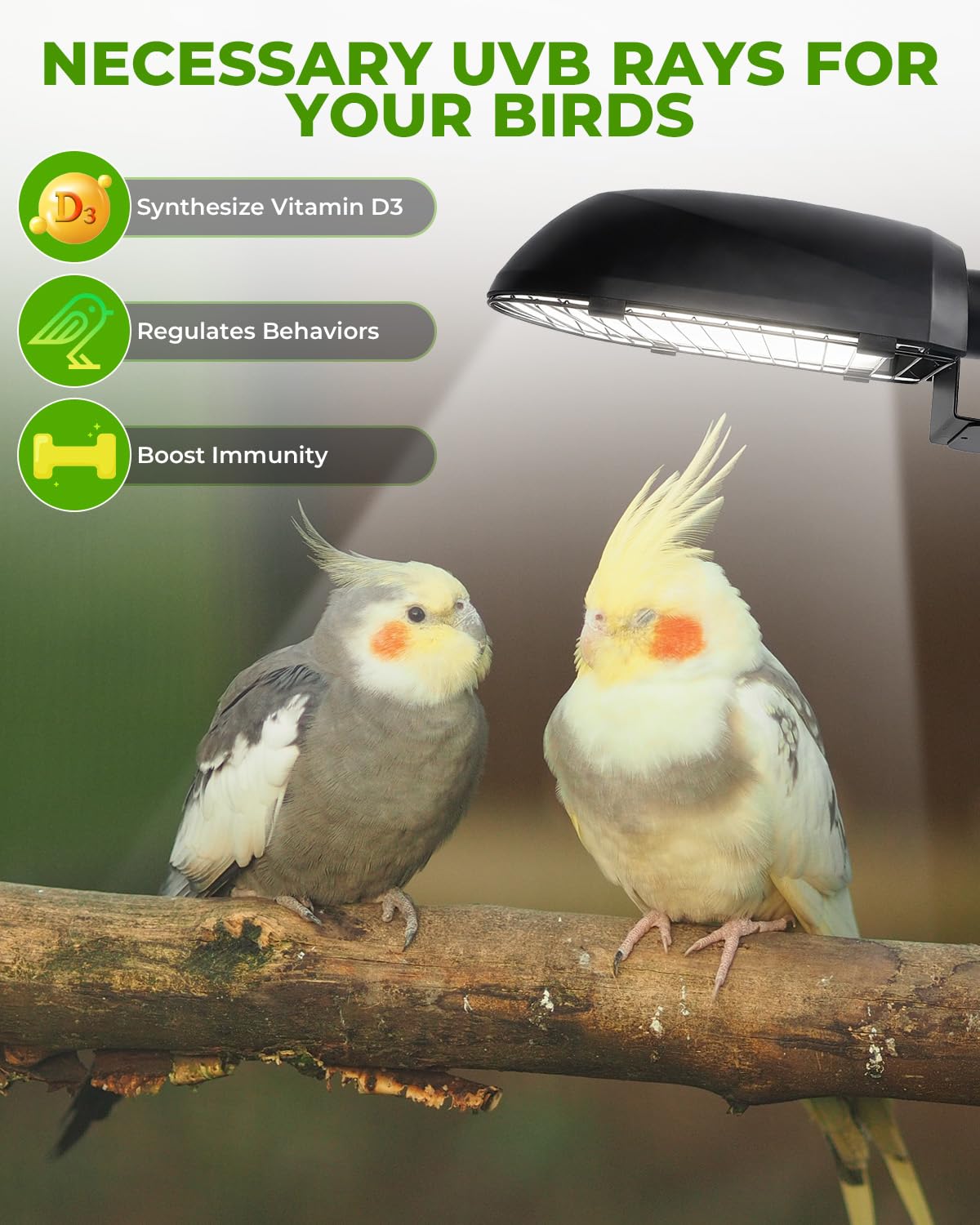 20W UVB Bird Cage Light Combo Kit F78991