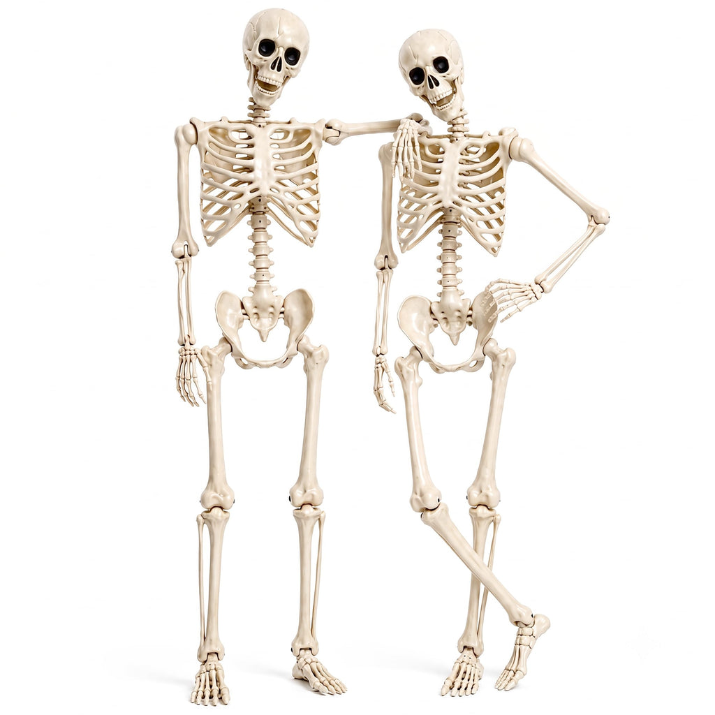 2 Pack 5.4ft Life Size Skeleton with Movable Joints X210023