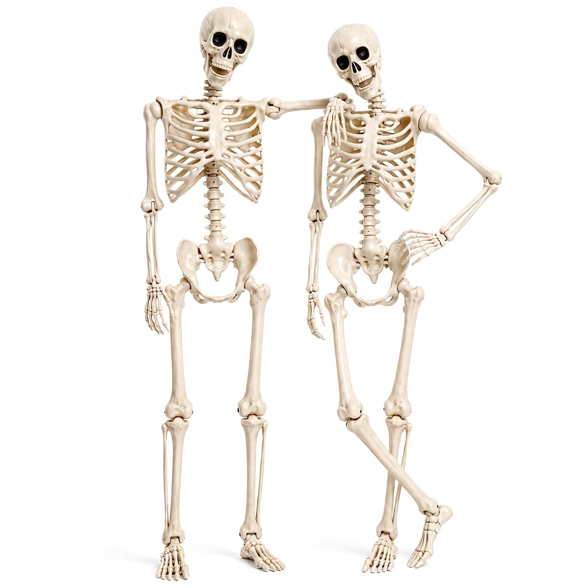 2 Pack 5.4ft Life Size Skeleton with Movable Joints X210023