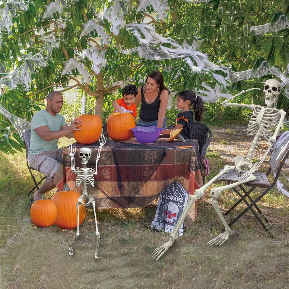 Life Size Skeleton with Movable Joints G897