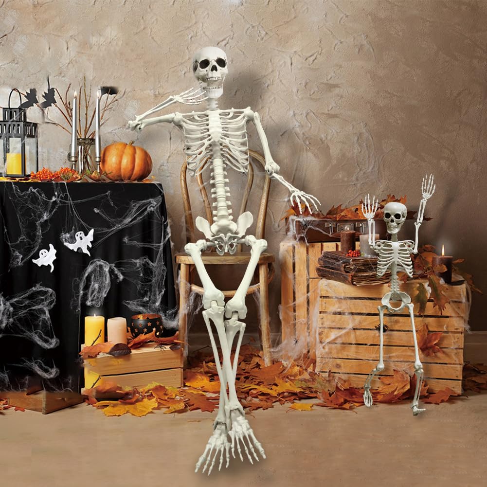 Life Size Skeleton with Movable Joints G897
