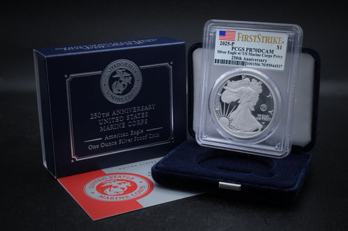 1 oz American Silver Eagle Coin D5797