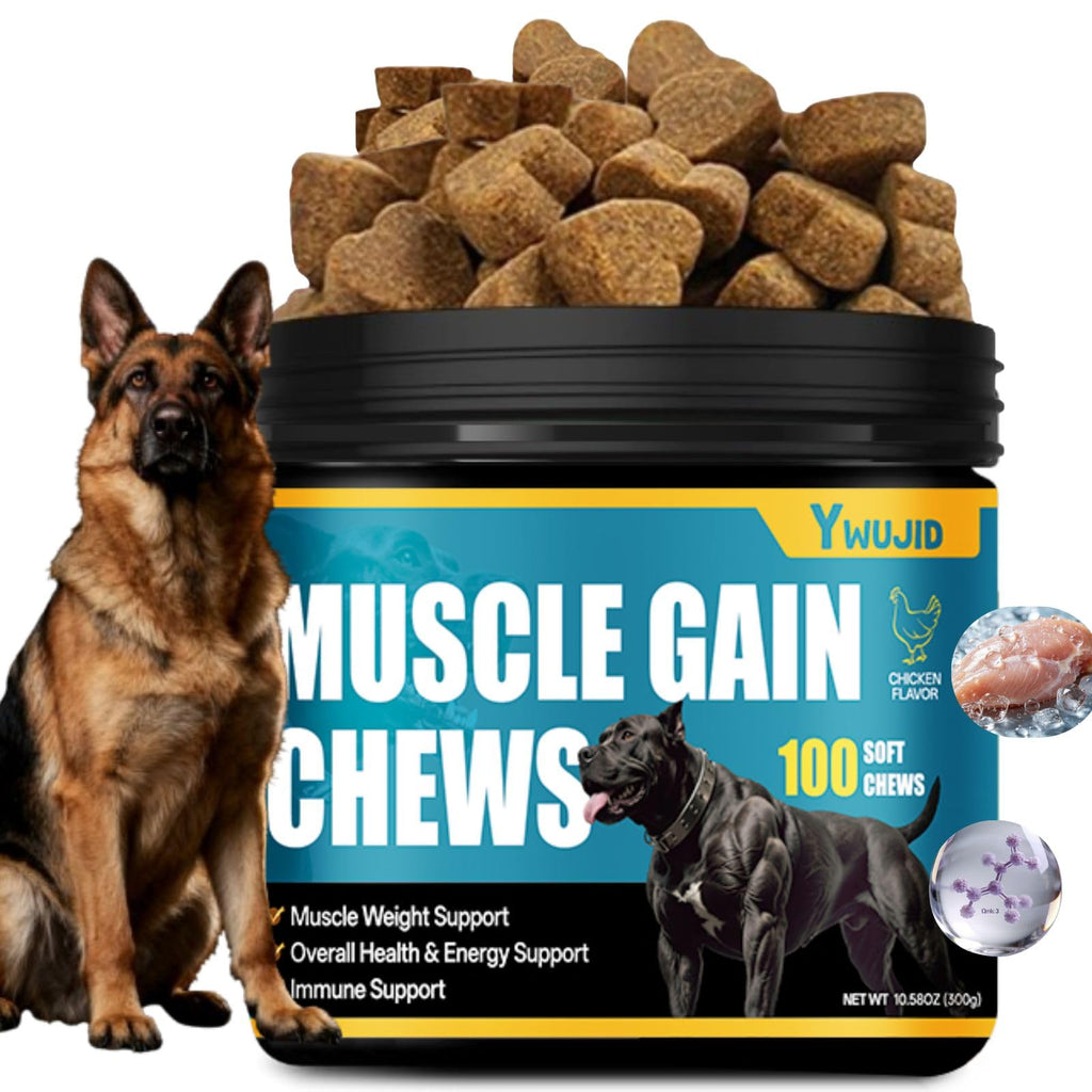 High Protein Dog Weight Gainer H376