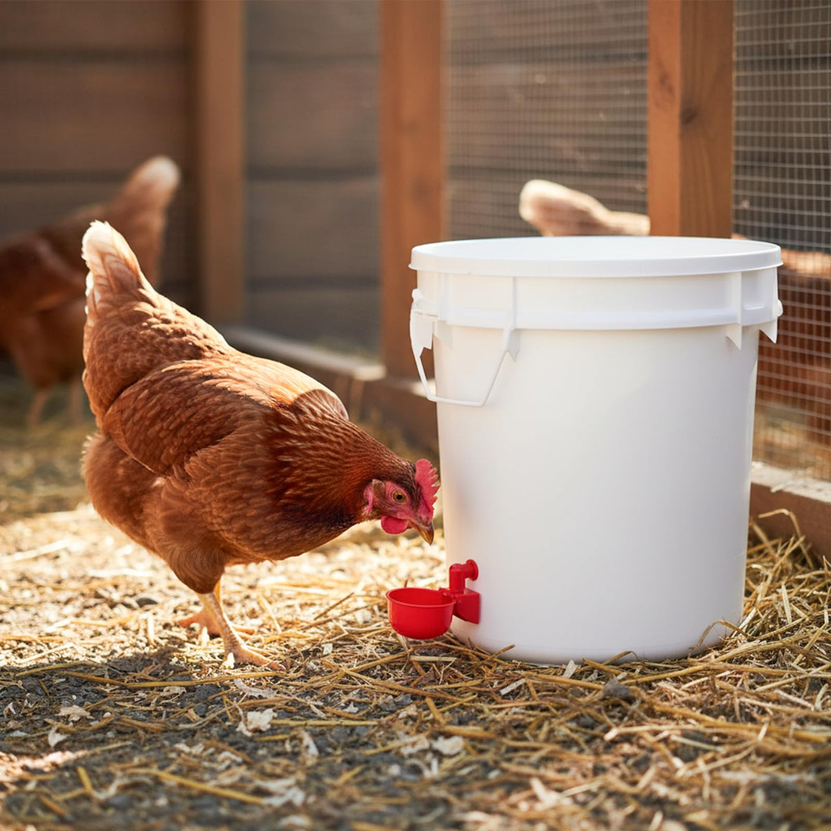 Automatic Chicken Waterer Cups 24-Pack Poultry Drinker with Hole Saw N83889