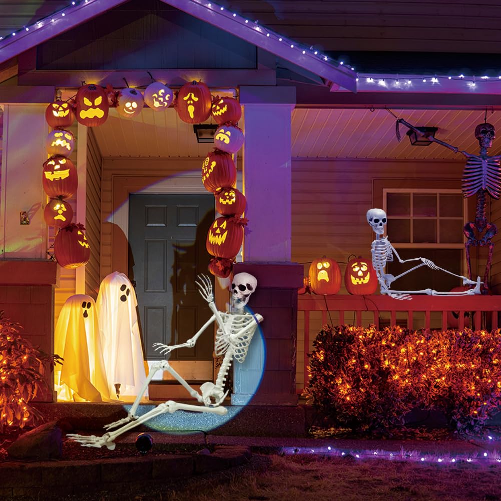 Life Size Skeleton with Movable Joints G897