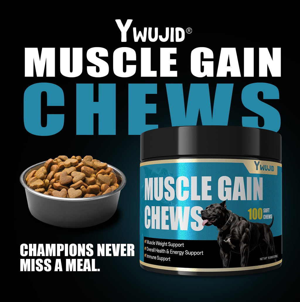 High Protein Dog Weight Gainer H376