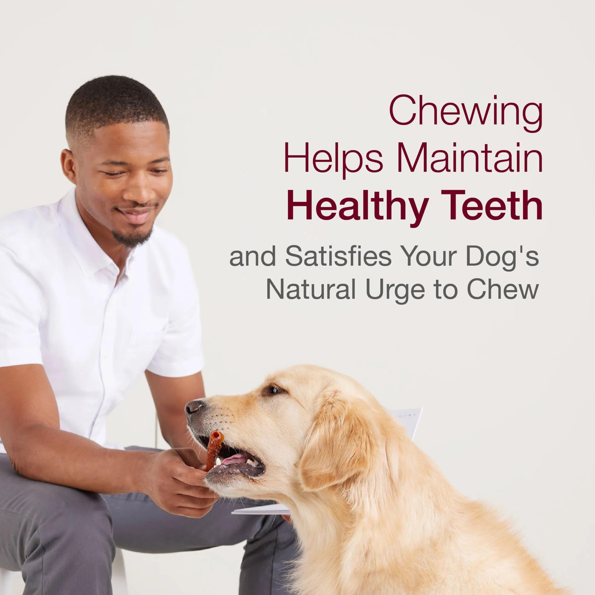 Peanut Butter Pork Flavor Rawhide-Free Dog Chews 6 Twistz P9824