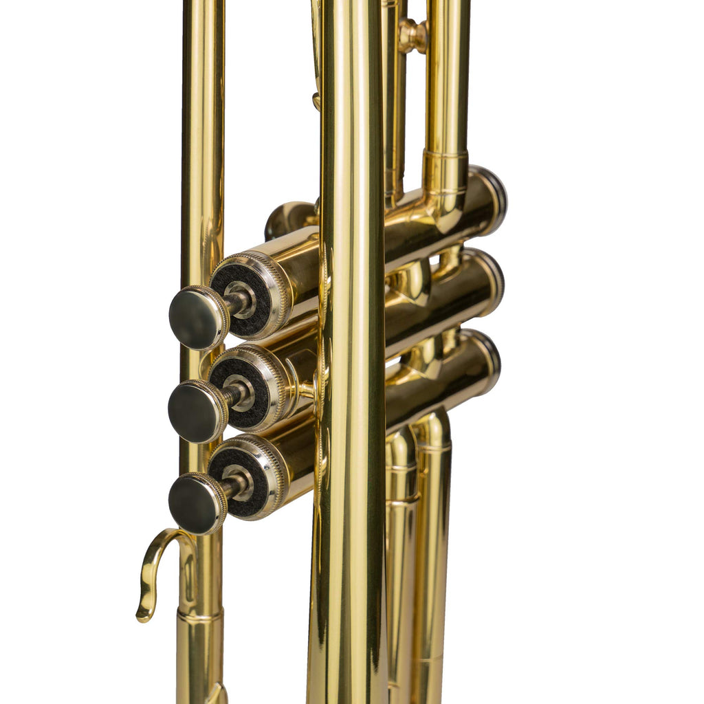 Bb Trumpet with Mouthpiece and Case D904867