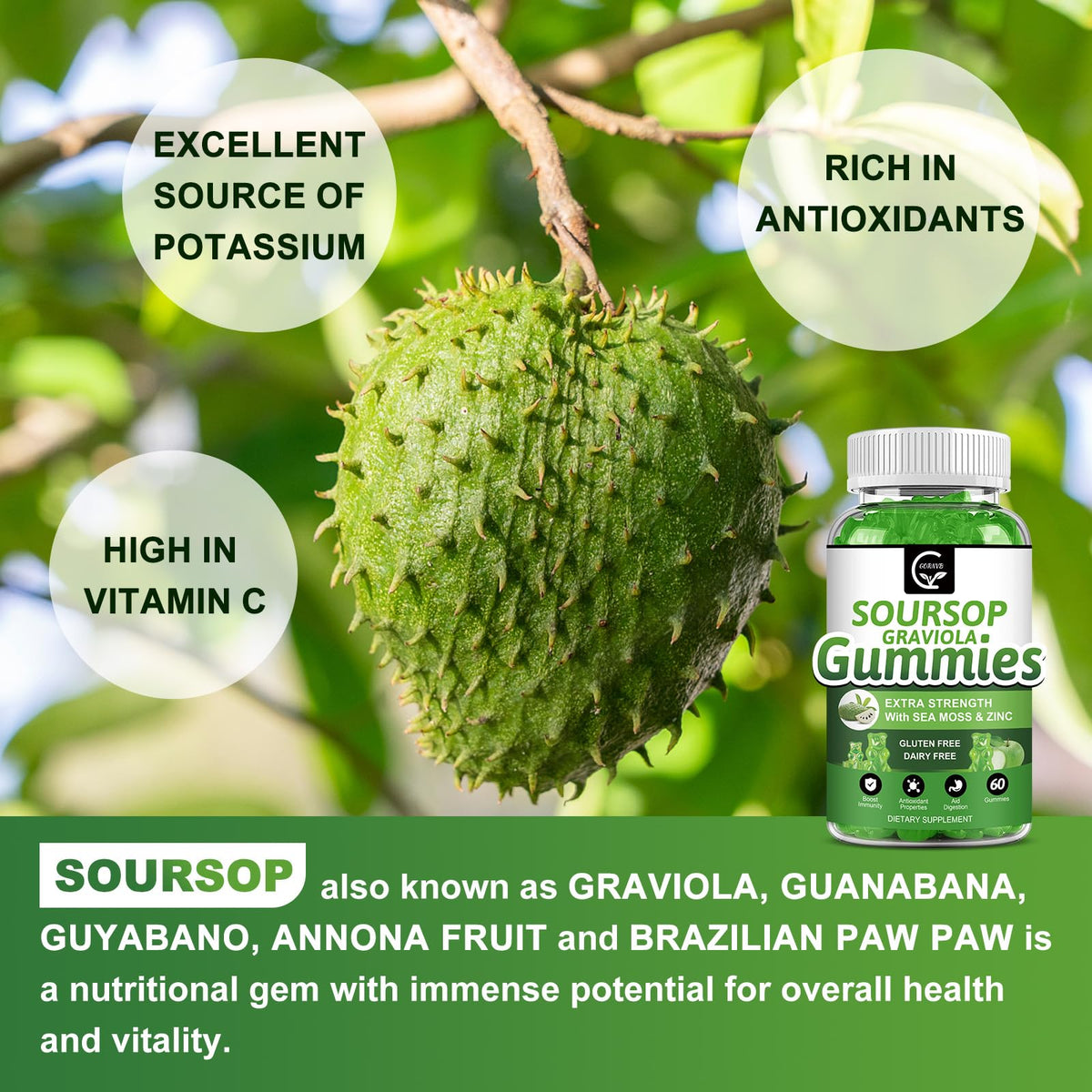 Organic Soursop Graviola Gummies 2200mg with Sea Moss Zinc Vitamin C 60 Gummies I900