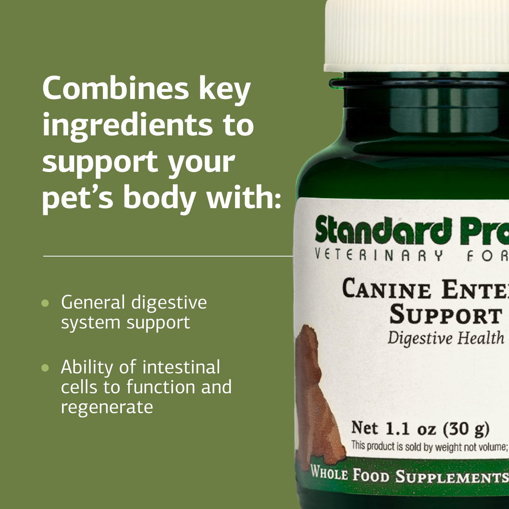 Canine Enteric Support 30 g V286