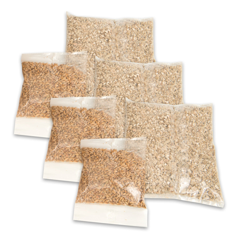 Cat Grass Seeds Set of 3 H4103