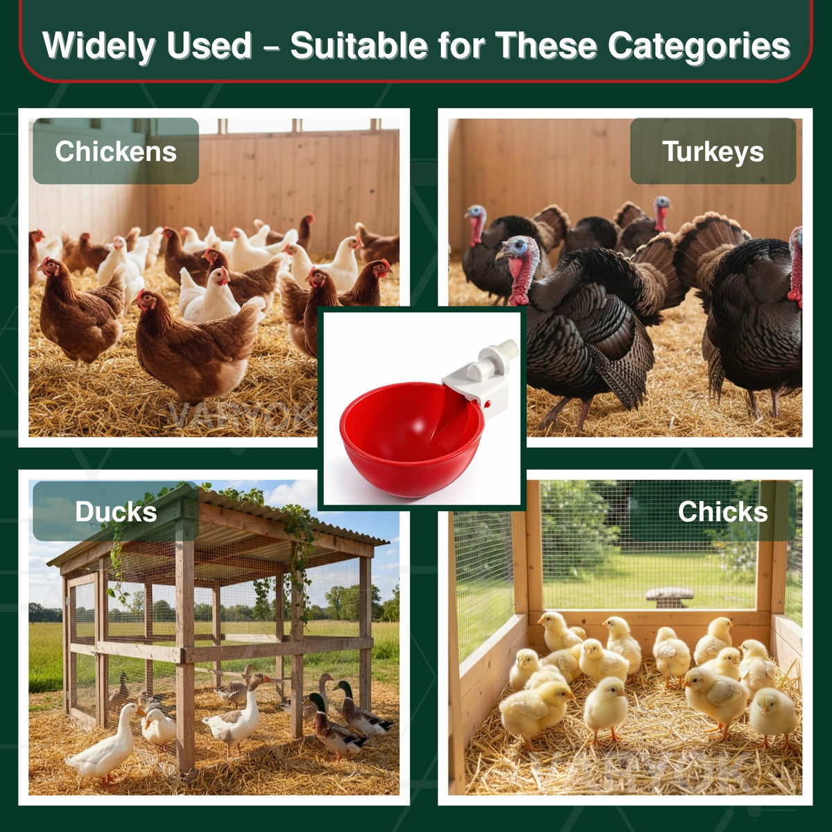 6 Pack Large Chicken Water Cups H9618