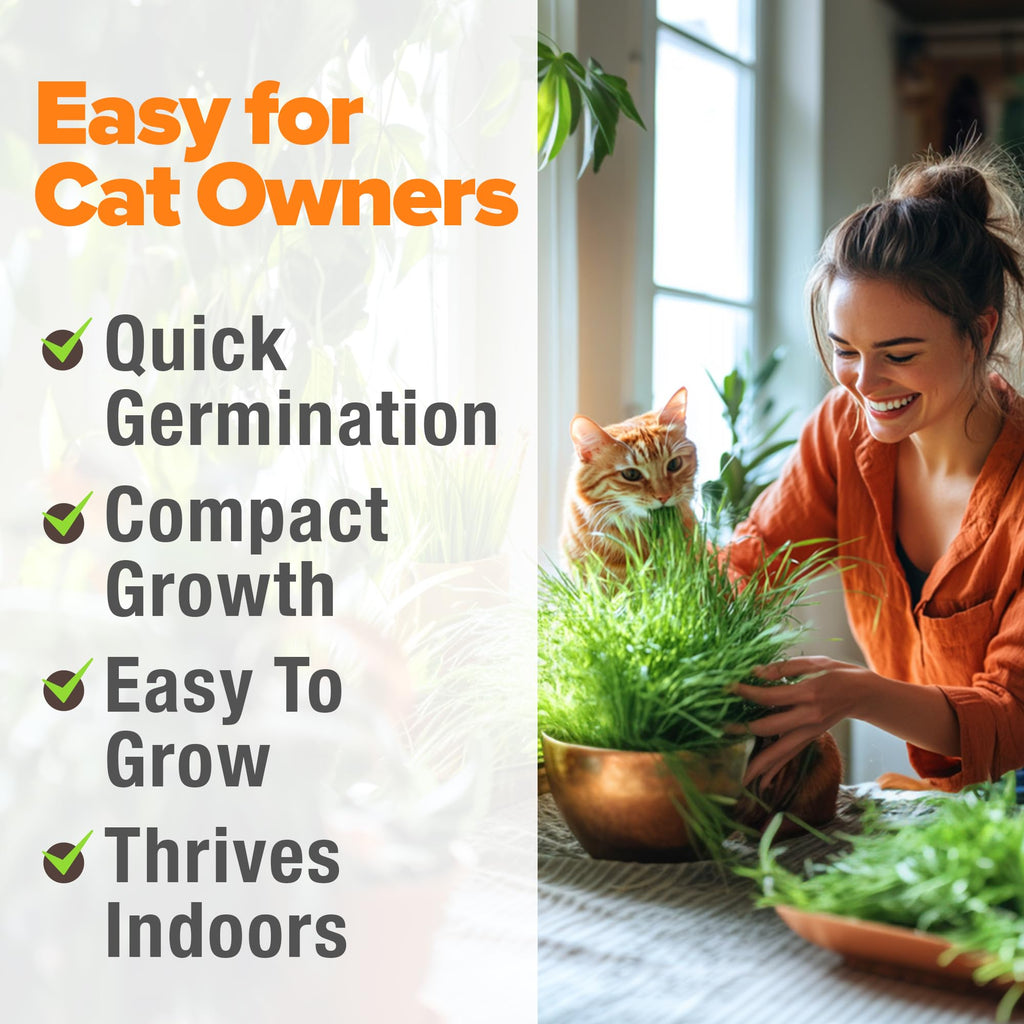 Organic Cat-Grass Seed Mix 4 oz G465284