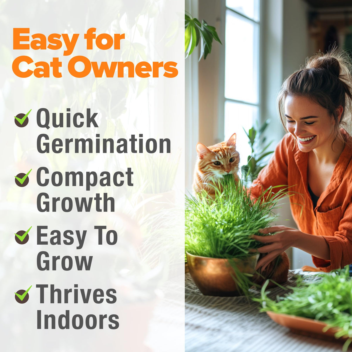 Organic Cat-Grass Seed Mix 4 oz G465284