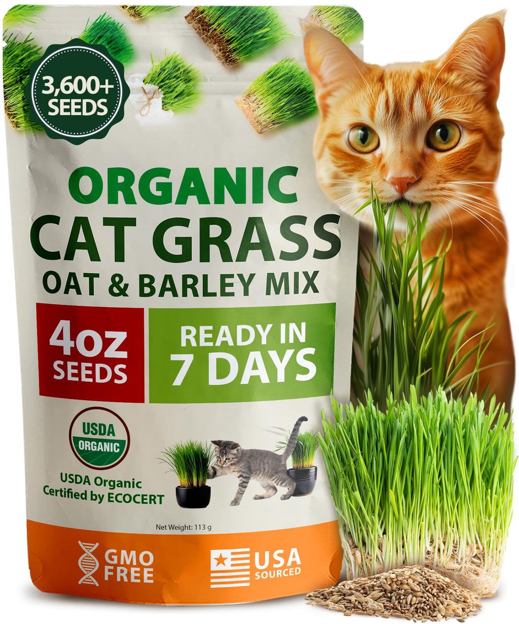 Organic Cat-Grass Seed Mix 4 oz G465284