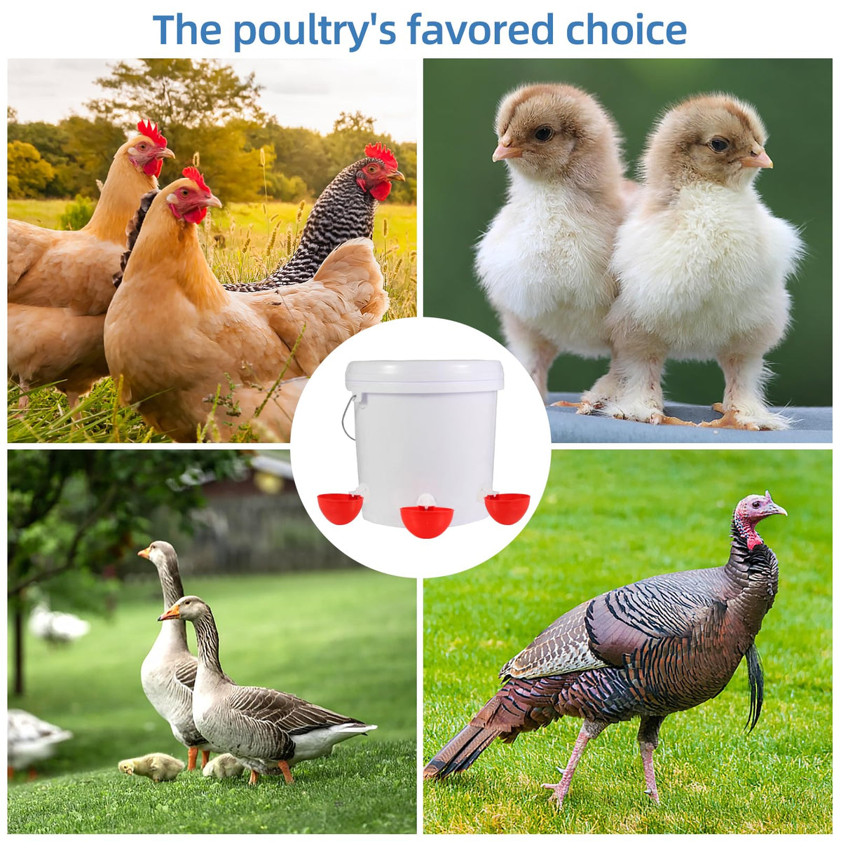Chicken Waterer Cups A74279