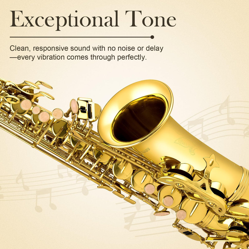 E Flat Alto Saxophone Full Kit E334