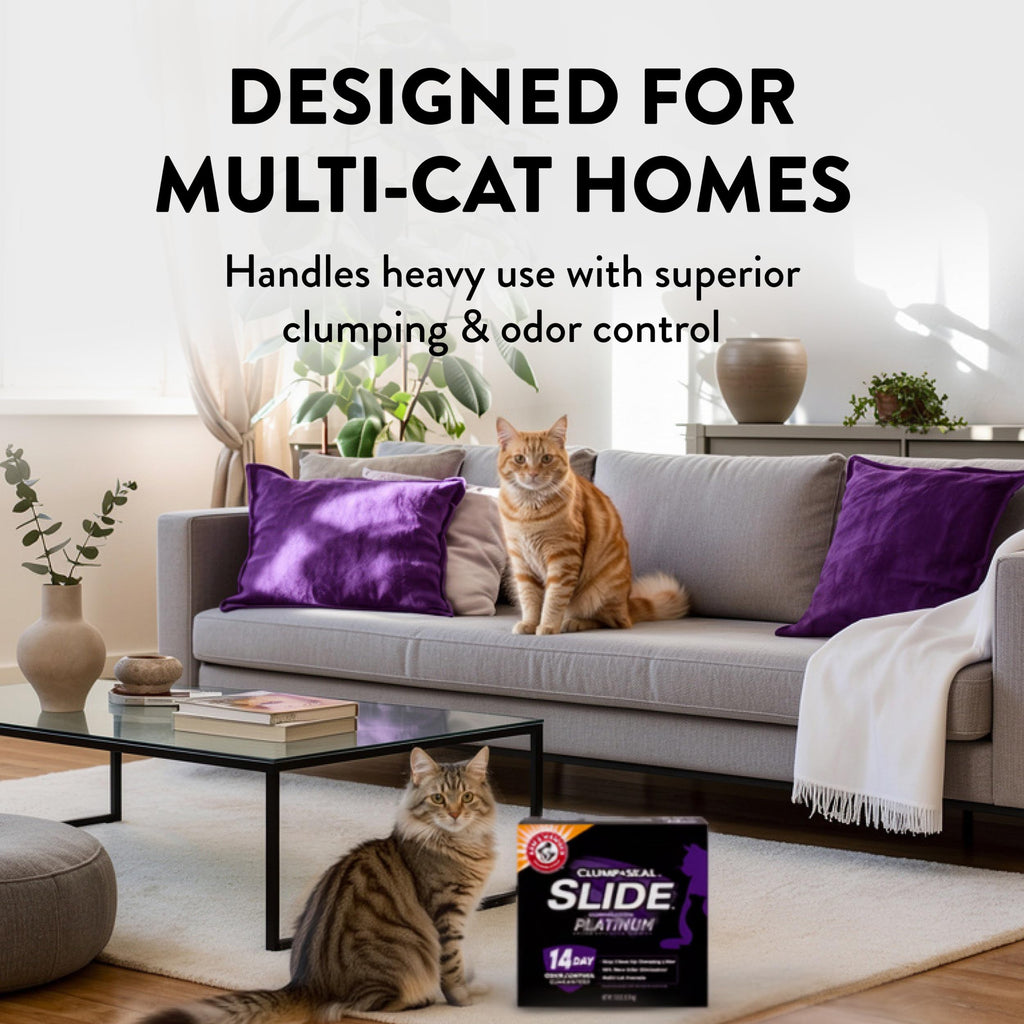 Clumping Cat Litter, 37 Lbs V553894