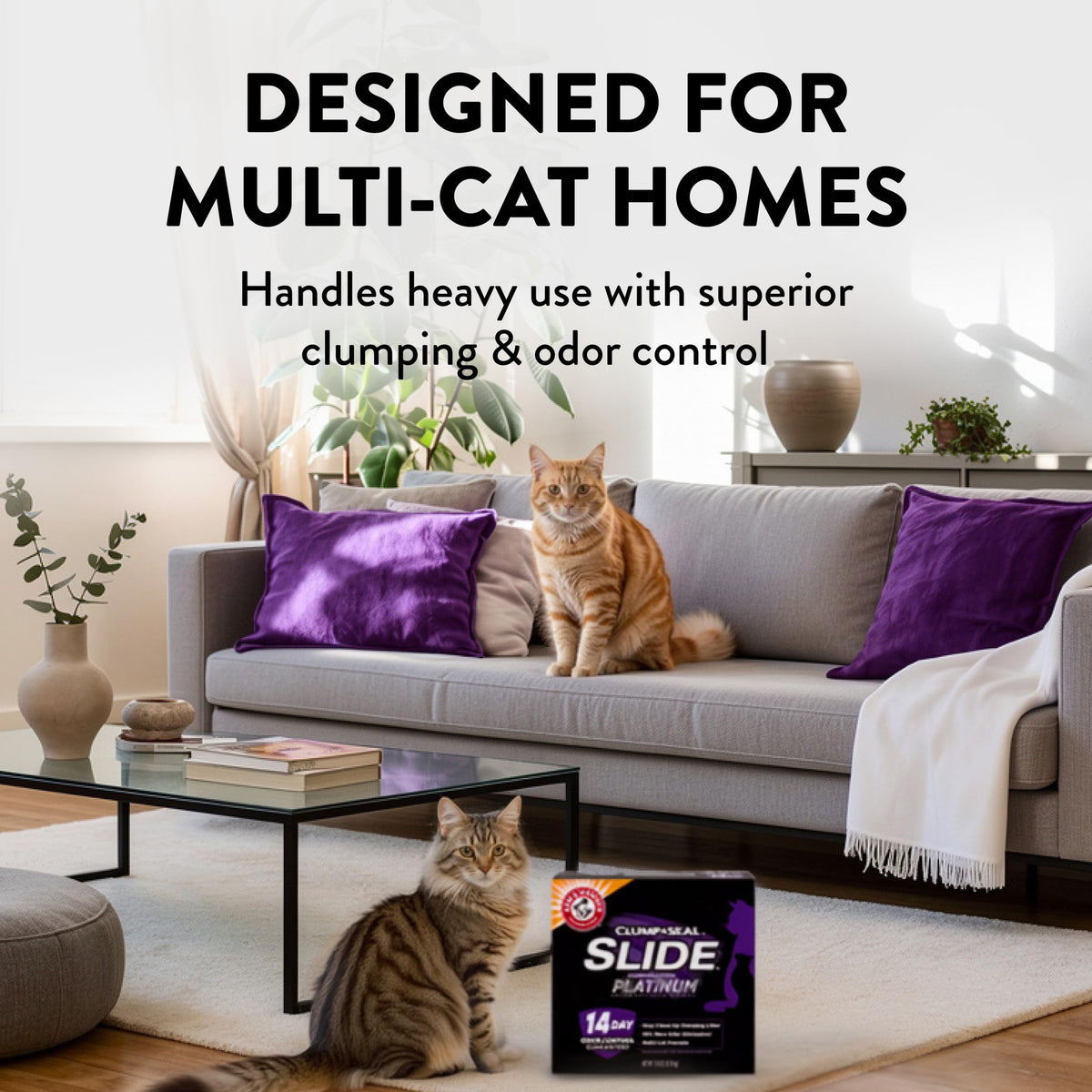 Clumping Cat Litter, 37 Lbs V553894