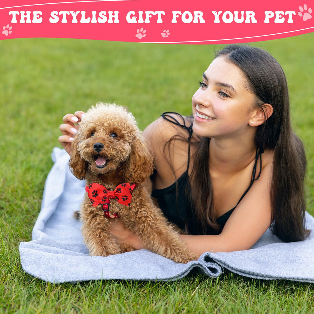 100 Pieces Dog Bow Tie Collar Set K94385