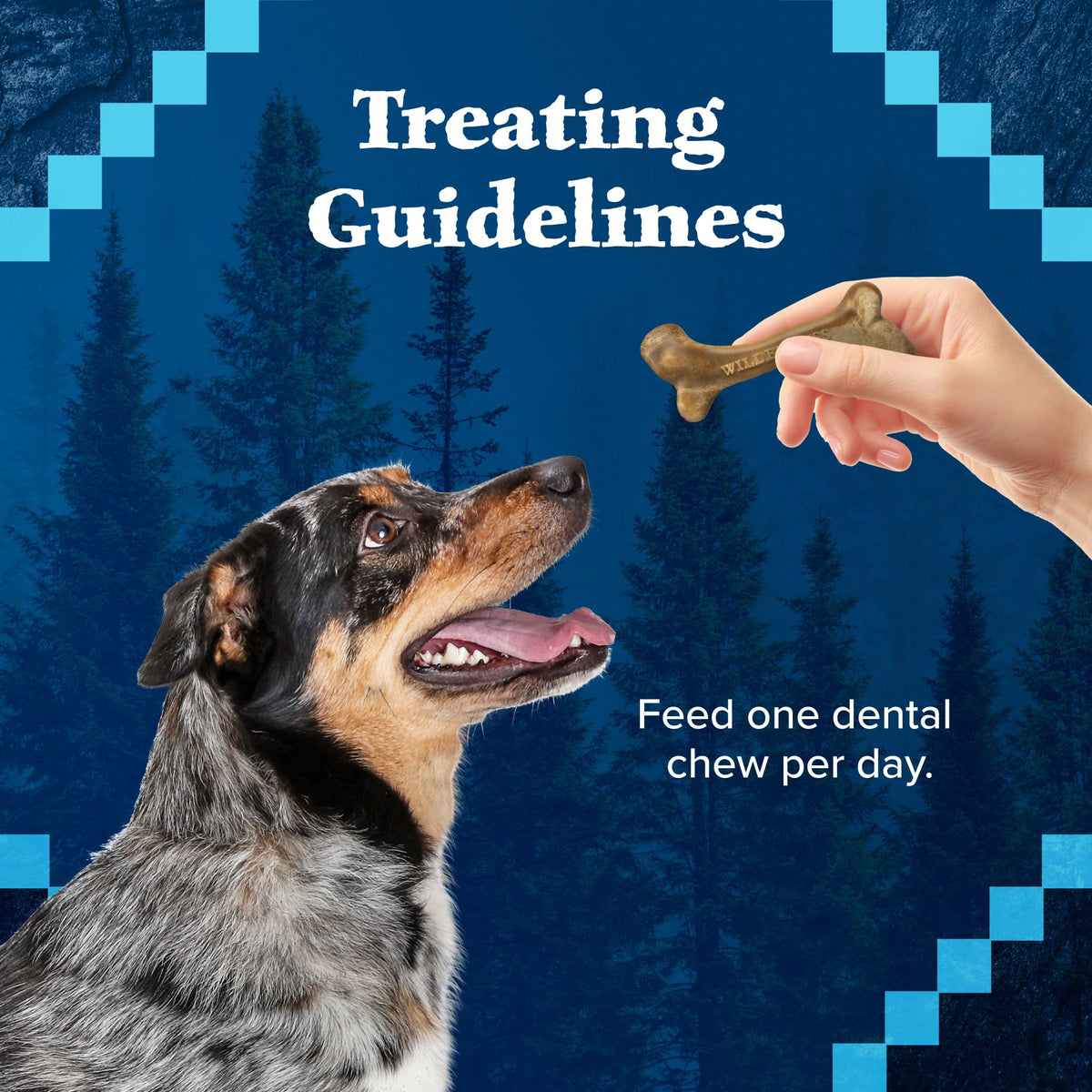 Grain-Free Large Dog Dental Chews O598