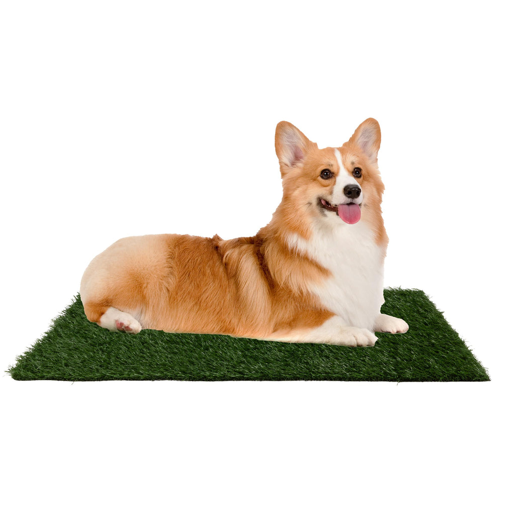Artificial Grass Puppy Pee Pad Set of 3 H872491