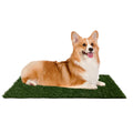 Artificial Grass Puppy Pee Pad Set of 3 H872491