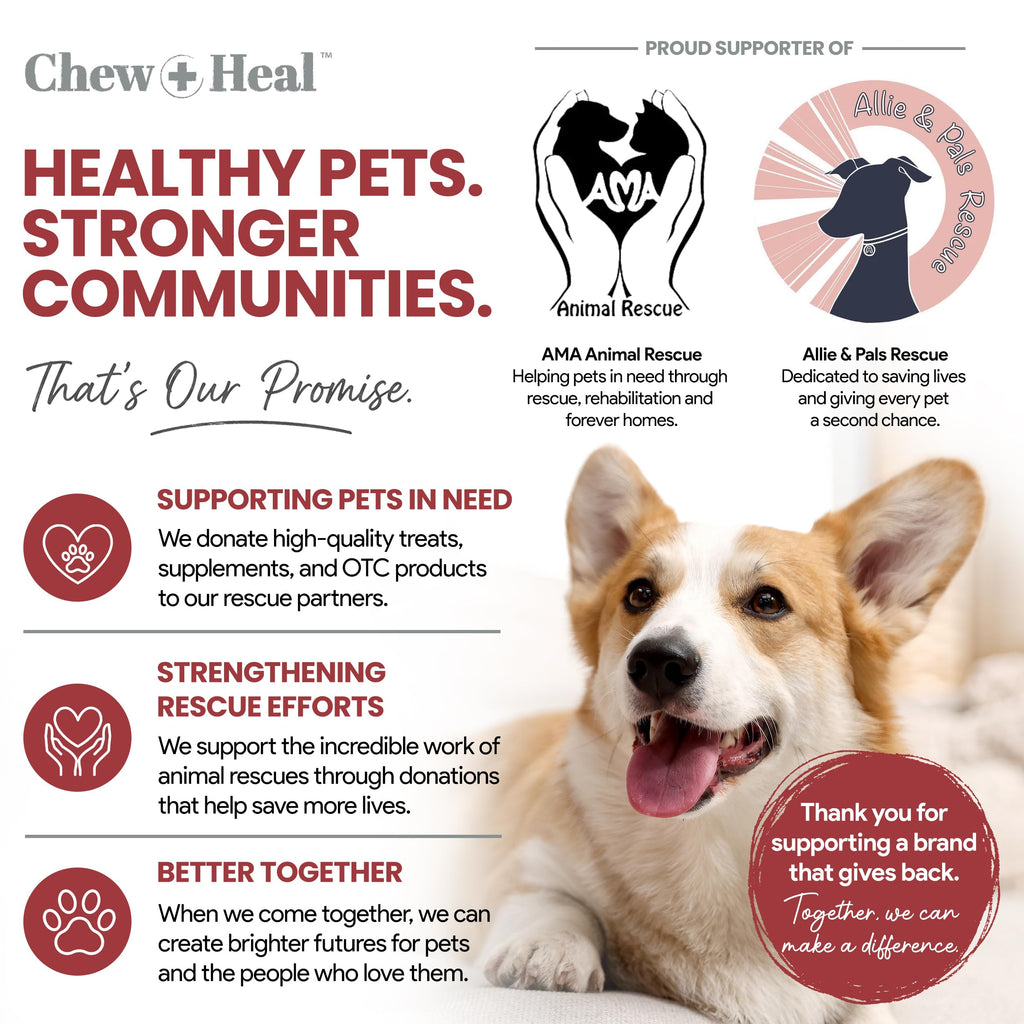 Cranberry Supplement for Dogs, 240 Soft Chews G659
