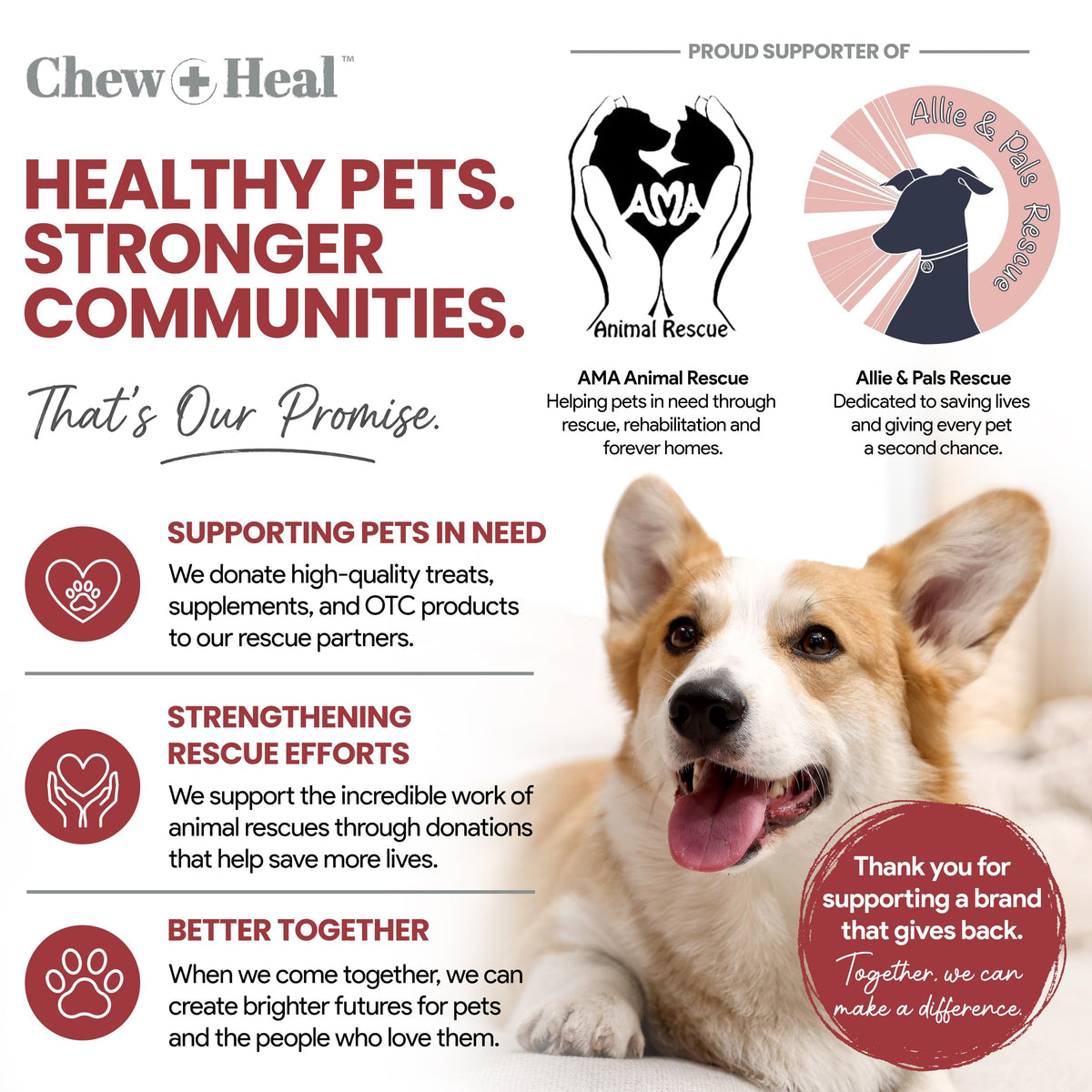Cranberry Supplement for Dogs, 240 Soft Chews G659