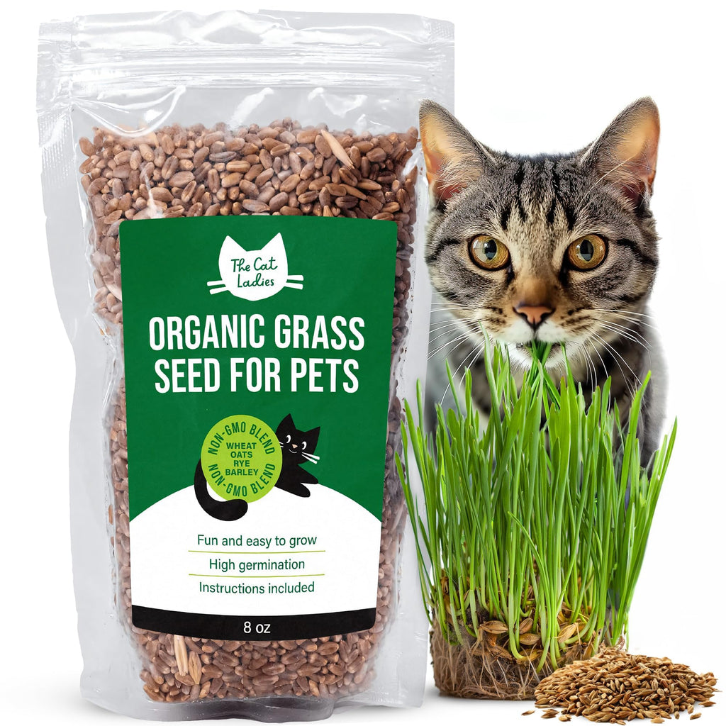 100% Organic Cat Grass Seed 8oz N80115