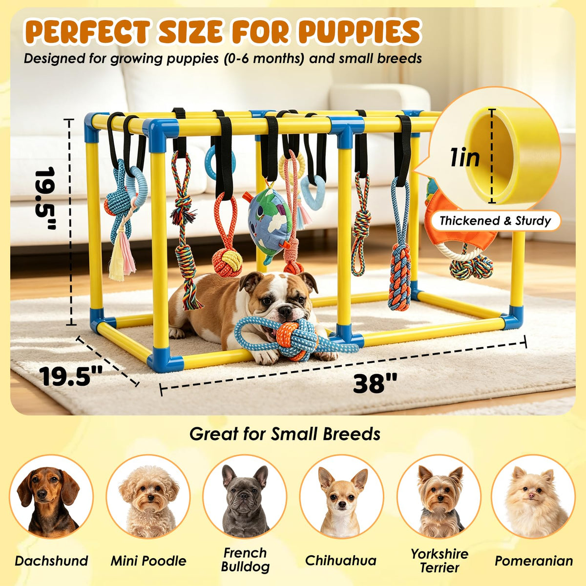 Puppy Play Gym with 14 Hanging Toys A42447