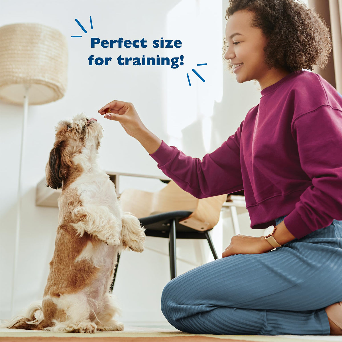 Chicken Liver Flavor Soft Training Dog Treats 20oz 3-Pack L2745