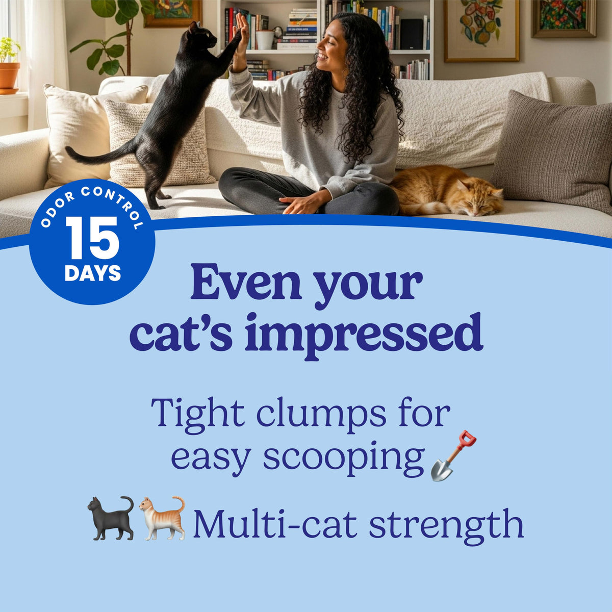 22 lb Clumping Cat Litter H1848